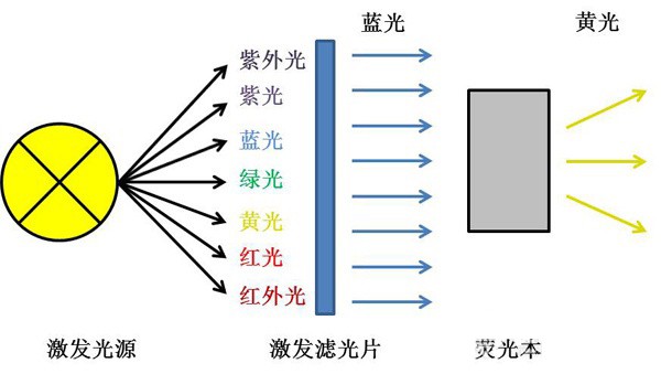 滤光片