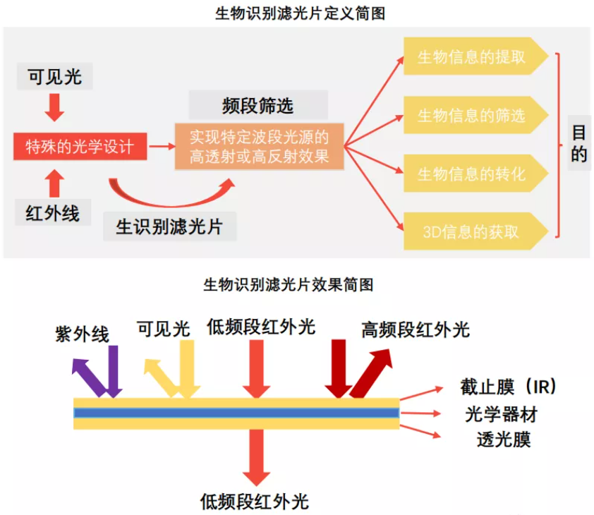 滤光片