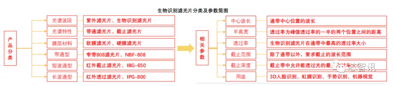 滤光片