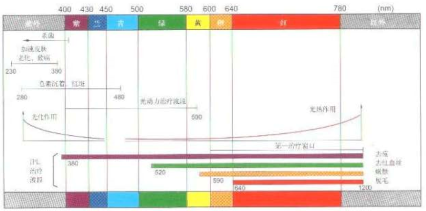 光子各种波长对皮肤的影响