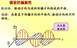 滤光片
