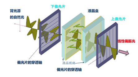 滤光片