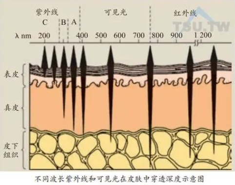 激光美容波长对皮肤损伤最小