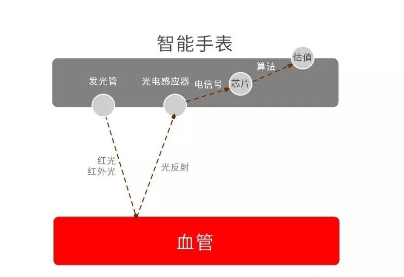 智能手表测血氧原理