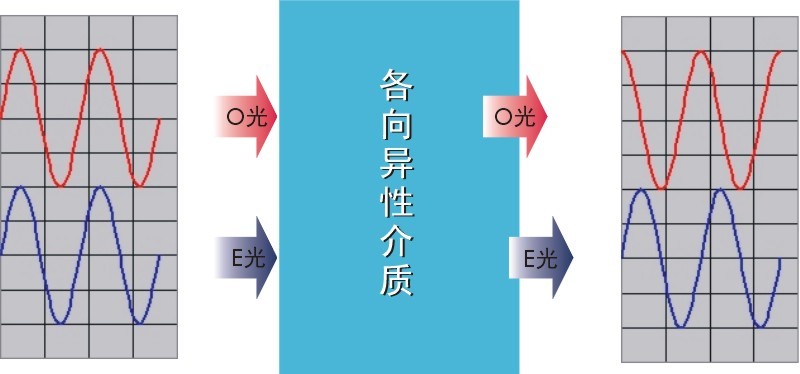 滤光片