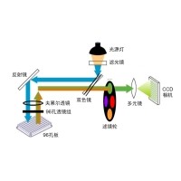 什么是荧光定量PCR、数字PCR？