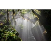 光的干涉、衍射、折射、反射、散射