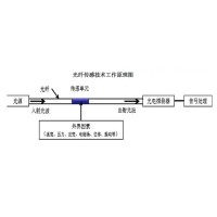 光纤传感技术：崔洪亮和他的“中国梦”